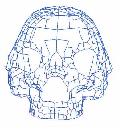 skullrecon